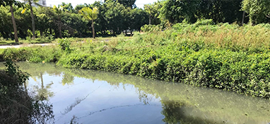 沿用城市思維？農村黑臭水體治理“行不通”！